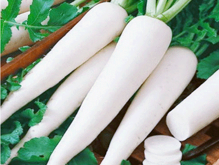 củ cải