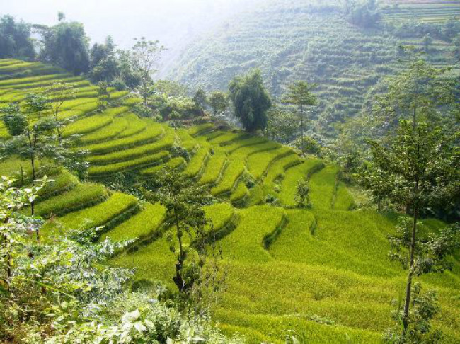 Thị trấn Sapa thuộc tỉnh Lào Cai, có địa hình 1600 mét cao hơn mực nước biển. Khí trời mát mẻ vùng núi và cảnh quan đẹp hoang sơ chính là những yếu tố giúp Sapa trở thành một khu nghỉ mát nổi tiếng ở miền Bắc Việt Nam. Tại đây, du khách có thể chinh phục đỉnh Phan Si Păng của dãy Hoàng Liên Sơn, ngắm vườn hoa Hàm Rồng và khám phá thung lũng Mường Hoa. Các địa điểm tham quan khác khi du lịch Sapa bao gồm: Thác Bạc, Thác Tình Yêu, Bản Hồ, Chợ phiên Sapa…