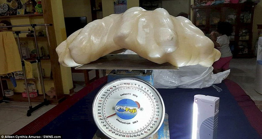 Khối ngọc trai nặng tới 34 kg trị giá 100 triệu USD. Ảnh: Daily Mail