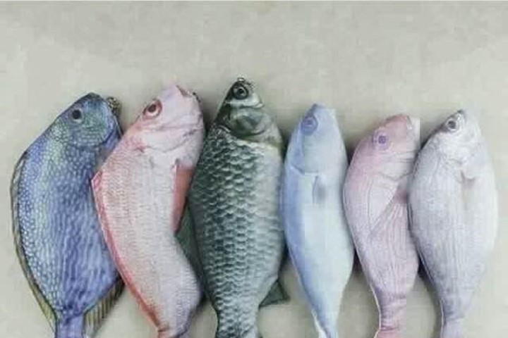 Túi đựng bút hình cá rất được ưa chuộng do có hình dáng, màu sắc bắt mắt như hình cá chim, cá thu, cá chép đen, cá diêu hồng…
