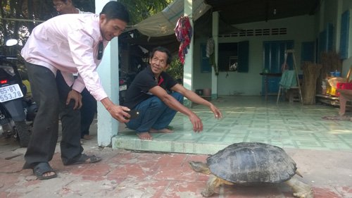 Gia đ&igrave;nh &ocirc;ng Ch&oacute;t cho biết sẽ kh&ocirc;ng b&aacute;n &lsquo;cụ r&ugrave;a khủng&rsquo; n&agrave;y với gi&aacute; dưới 100 triệu đồng