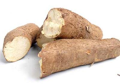 C&ugrave; sắn t&agrave;u