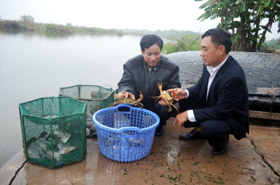 Cua biển Quảng Y&ecirc;n