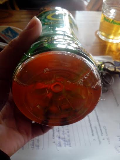 khong do co ruoi