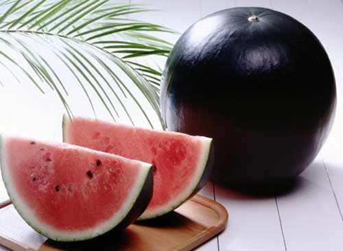 Dưa hấu đen Densuke l&agrave; đặc sản của người Nhật Bản
