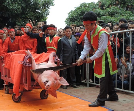 Cuộc tranh c&atilde;i xung quanh việc n&ecirc;n hay kh&ocirc;ng bỏ lễ hội ch&eacute;m lợn ở Bắc Ninh đang diễn ra gay gắt