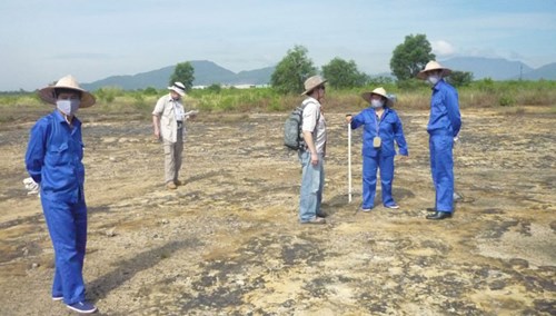 dioxin dioxin