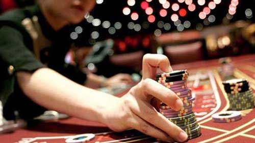 200 chủ thầu đề lớn tập trung ở đâu? 200 chủ thầu đề lớn tập trung ở đâu?