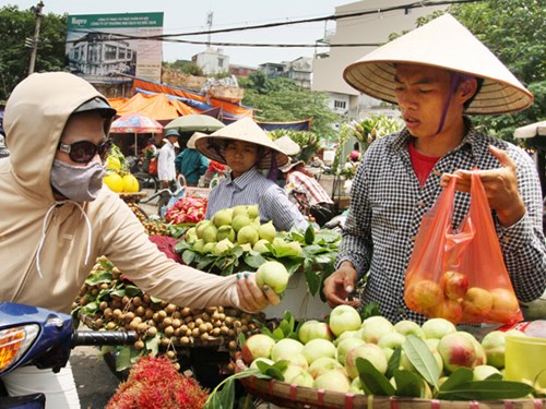 Đ&agrave;o Trung Quốc 