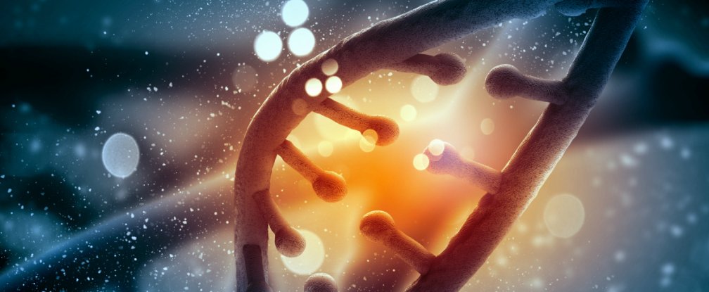 Theo di truyền học, gen xấu của bố mẹ c&oacute; thể di truyền cho con c&aacute;i th&ocirc;ng qua DNA