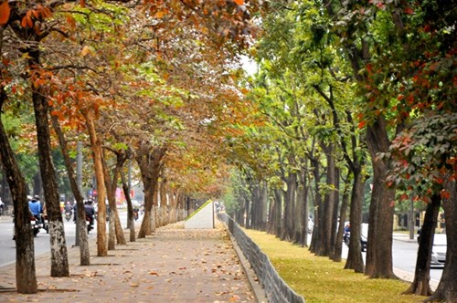 Địa điểm chụp ảnh Gi&aacute;ng sinh 2015 tại H&agrave; Nội &lsquo;h&uacute;t hồn&rsquo; giới trẻ