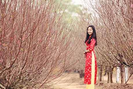 Địa điểm chụp ảnh Tết dương tại những vườn hoa H&agrave; Nội