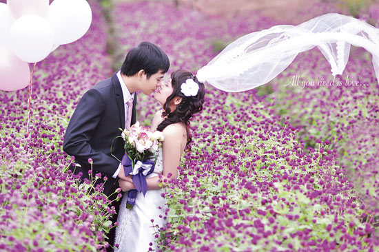 Địa điểm chụp ảnh Tết dương tại những vườn hoa H&agrave; Nội