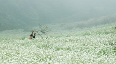 Địa điểm chụp ảnh Tết dương đẹp &lsquo;m&ecirc; hồn&rsquo; tại miền Bắc