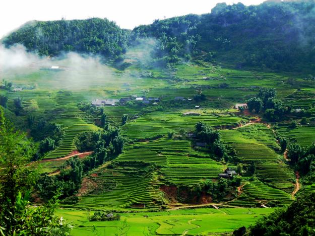 Địa điểm chụp ảnh Tết dương đẹp &lsquo;m&ecirc; hồn&rsquo; tại miền Bắc