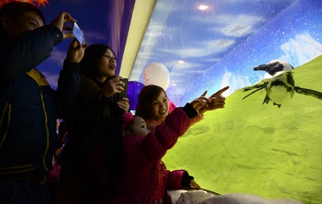 Thủy cung Vinpearl Aquarium Times City điểm đến hấp dẫn v&agrave;o ng&agrave;y 1/6