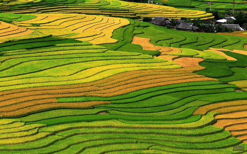Khu bảo tồn thi&ecirc;n nhi&ecirc;n P&ugrave; Lu&ocirc;ng sẽ l&agrave; địa điểm đi chơi Tết dương lịch cho những du kh&aacute;ch ưa th&iacute;ch kh&aacute;m ph&aacute; thi&ecirc;n nhi&ecirc;n