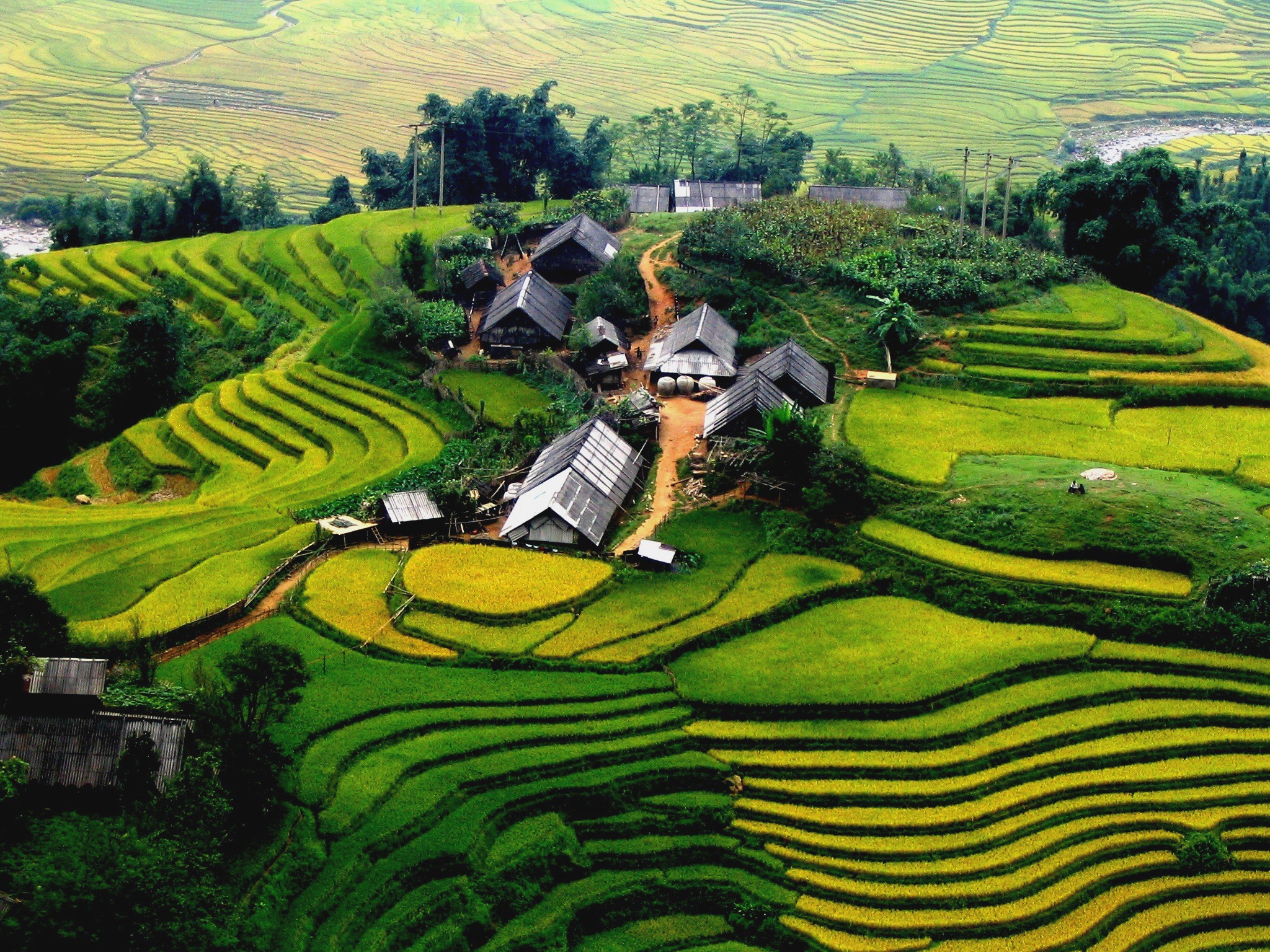 Sapa sẽ l&agrave; một địa điểm đi chơi Tết dương lịch th&uacute; vị cho những du kh&aacute;ch ưa th&iacute;ch độc h&agrave;nh