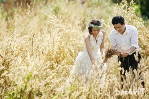 C&aacute;nh đồng cỏ lau vừa thơ mộng vừa đẹp mắt sẽ tạo n&ecirc;n những bức h&igrave;nh tuyệt đẹp cho c&ocirc; d&acirc;u ch&uacute; rể