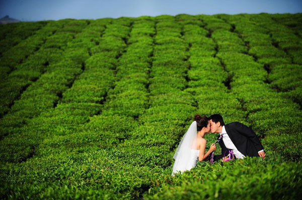Nhiều cặp uy&ecirc;n ương đ&atilde; c&oacute; những bộ ảnh cực l&atilde;ng mạn tại địa điểm chụp ảnh cưới đẹp m&ecirc; hồn n&agrave;y