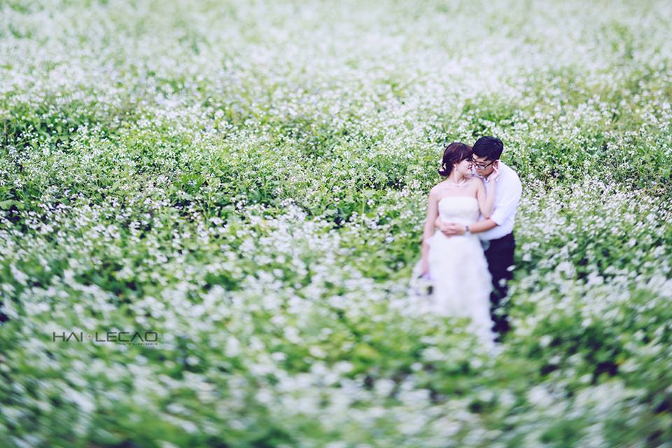 N&eacute;t đẹp thi&ecirc;n nhi&ecirc;n nơi đ&acirc;y thực sự l&agrave; cảm hứng tuyệt vời cho c&aacute;c nhiếp ảnh gia v&agrave; những cặp đ&ocirc;i sắp cưới