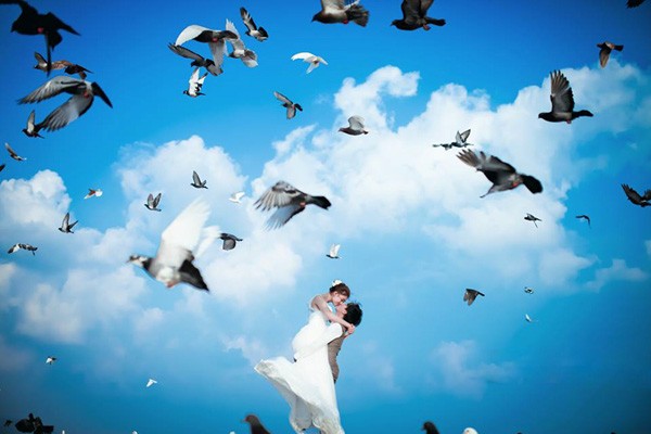 Khung cảnh đẹp m&ecirc; hồn với đ&agrave;n bồ c&acirc;u đ&atilde; khiến c&ocirc;ng vi&ecirc;n Biển Đ&ocirc;ng trở th&agrave;nh địa điểm chụp ảnh cưới l&yacute; tưởng với nhiều cặp đ&ocirc;i