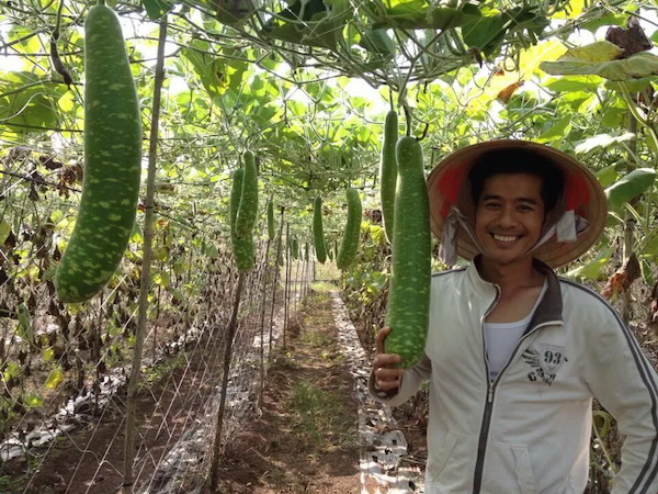 Diễn vi&ecirc;n Quang Thảo tại trang trại của m&igrave;nh