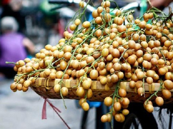 Quất hồng b&igrave; chứa nhiều dinh dưỡng tốt cho b&agrave; bầu