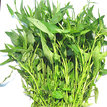  rau muống kh&ocirc;ng chỉ bổ sung sắt m&agrave; c&ograve;n chất xơ rất tốt cho b&agrave; bầu.
