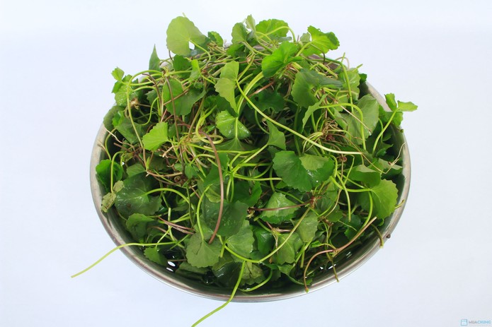 Rau m&aacute; chứa chất chống &ocirc;-xy h&oacute;a chống lại sự h&igrave;nh th&agrave;nh những nếp nhă
