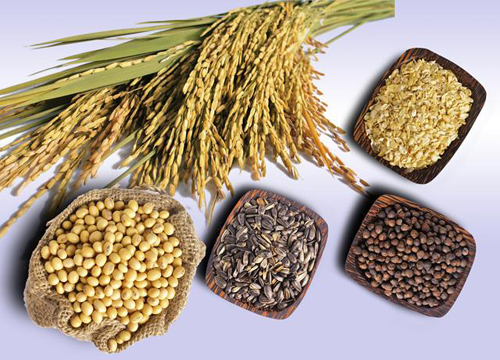 Dinh dưỡng cho người mất ngủ cần phải đ&aacute;p ứng đầy đủ c&aacute;c loại vitamin B  để  gi&uacute;p hệ thần kinh hoạt động tốt hơn  do thiếu thời gian nghỉ ngơi