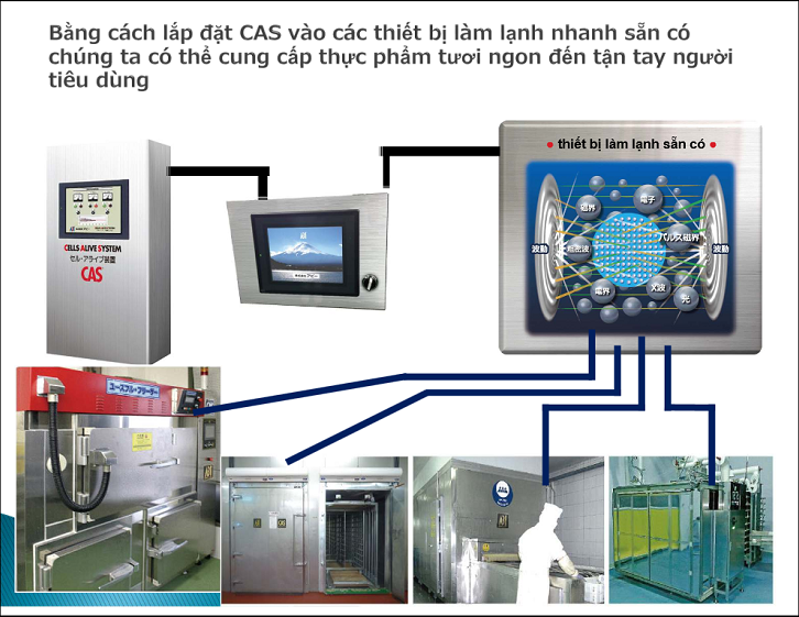 C&ocirc;ng nghệ CAS bảo quản th&agrave;nh c&ocirc;ng gạo tới 10 năm