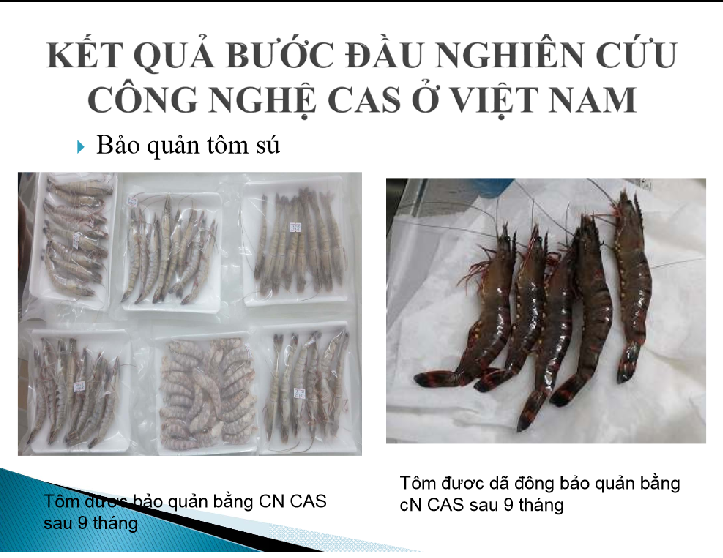 C&ocirc;ng nghệ CAS bảo quản th&agrave;nh c&ocirc;ng gạo tới 10 năm