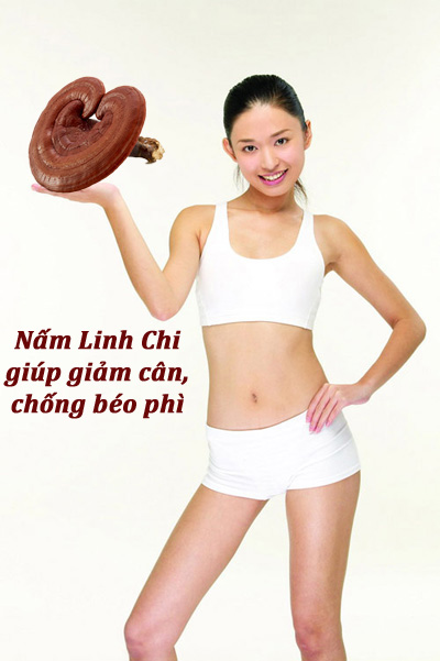 nam-linh-chi