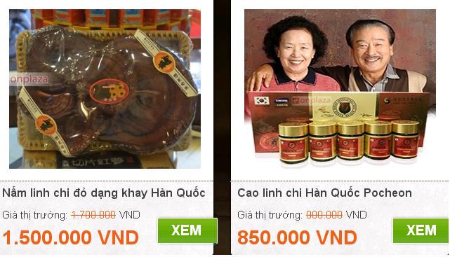 nam-linh-chi