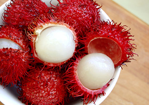 Trẻ nhỏ chết thương t&acirc;m v&igrave; bị h&oacute;c ch&ocirc;m ch&ocirc;m