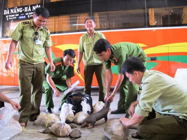 Lực lượng chức năng bắt quả tang số nội tạng bẩn v&agrave; động vật qu&yacute; hiếm vận chuyển tr&aacute;i ph&eacute;p tr&ecirc;n xe kh&aacute;ch