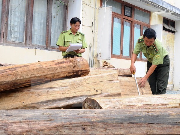 Số gỗ nhập lậu bị ph&aacute;t hiện thu giữ c&oacute; xuất xứ từ Campuchia,