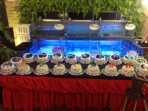 19 chiếc b&aacute;nh sinh nhật của Ho&agrave;i L&acirc;m