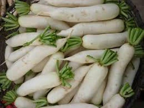 Củ cải trắng l&agrave; một trong những loại 13Win OKVIP Cá cược bóng đá bổ dưỡng chứa đủ c&aacute;c chất cần thiết để phục vụ cho 13Win19 ưu đãi hấp dẫn 13Win 19.com nhiều ưu đãi hấp dẫn. 