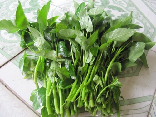 Rau muống l&agrave; một trong những loại rau c&oacute; vị ngọt v&agrave; c&oacute; t&iacute;nh hơi lạnh