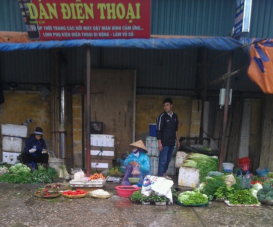 C&aacute;c mặt h&agrave;ng tực phẩm tăng nhẹ do ảnh hưởng cơn b&atilde;o số 3