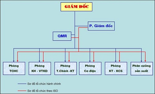 Sơ đồ của mẫu của một tổ chức &aacute;p dụng ISO ( Ảnh minh họa)