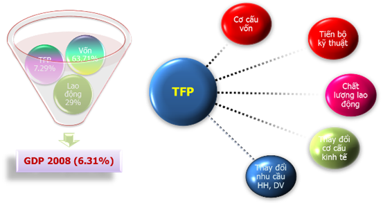  Y&ecirc;́u t&ocirc;́ chính đóng góp vào tăng TFP