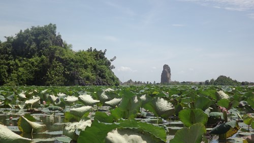 Quan Sơn l&atilde;ng mạn với những đầm sen đa sắc m&agrave;u