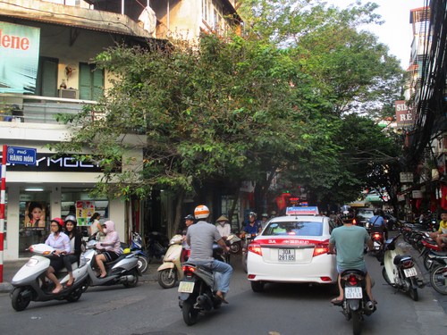 Phố H&agrave;ng N&oacute;n nơi qu&acirc;n v&agrave; d&acirc;n ta dựng cổng ch&agrave;o để tiếp đ&oacute;n bộ đội ng&agrave;y Giải ph&oacute;ng thủ đ&ocirc;.