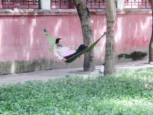 Hoặc mắc võng lên cây để ngủ