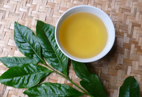 Tr&agrave; xanh để qua đ&ecirc;m sẽ sản sinh nhiều vi khuẩn độc hại. Ảnh minh họa