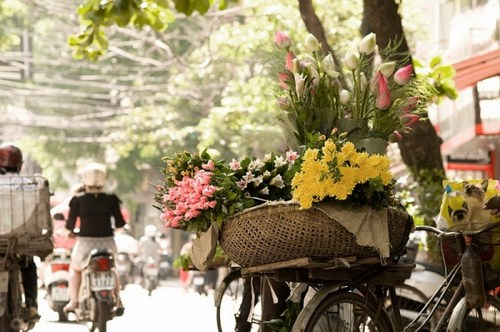 Triển l&atilde;m 