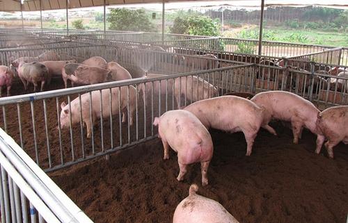 Chế phẩm vi sinh xử l&yacute; &ocirc; nhiễm m&ocirc;i trường
